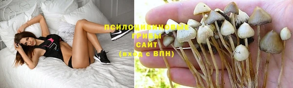 амф Арсеньев