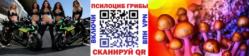 Галлюциногенные грибы Psilocybe Купить закладки Карабаново