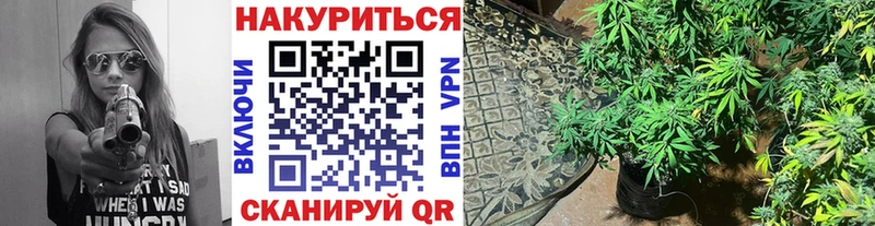 Купить  Карабаново  Каннабис AK-47 